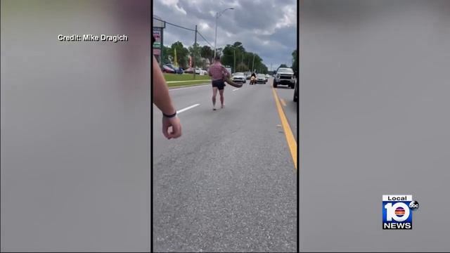Alligator is tackled by a man with his bare hands