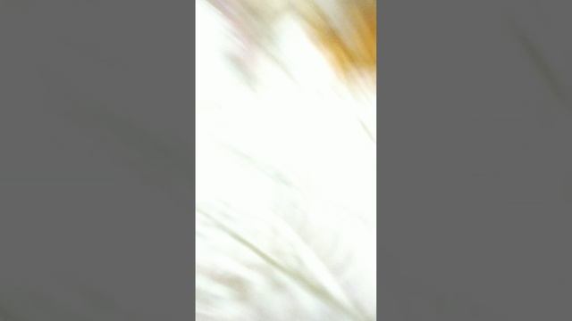 игра слепой Монстр видящий человек если он хочет остаться человеком то он должен прятаться от монстр