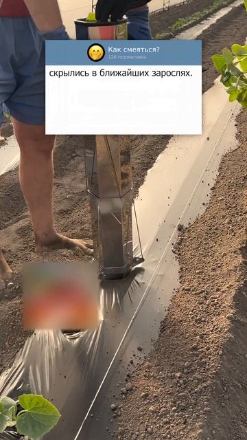 ЖДАЛИ ЭТОГО МОМЕНТА😅 #юмор #мемы #анекдоты #shorts