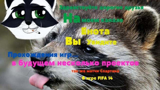 обзор канал енот