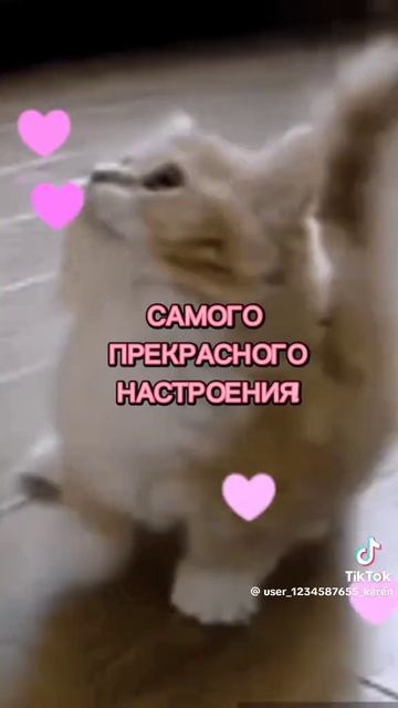 Макияж от токсичной подруги