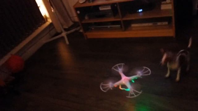 Syma Explorer X5C Explorers 2.4G 4CH 6Axis Gyro RC Quadcopter UFO W/2MPHD Camera