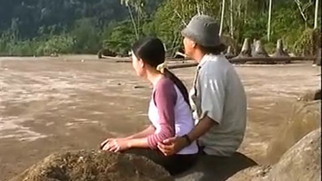 Kerimpak kaca Lauya(Timothy)