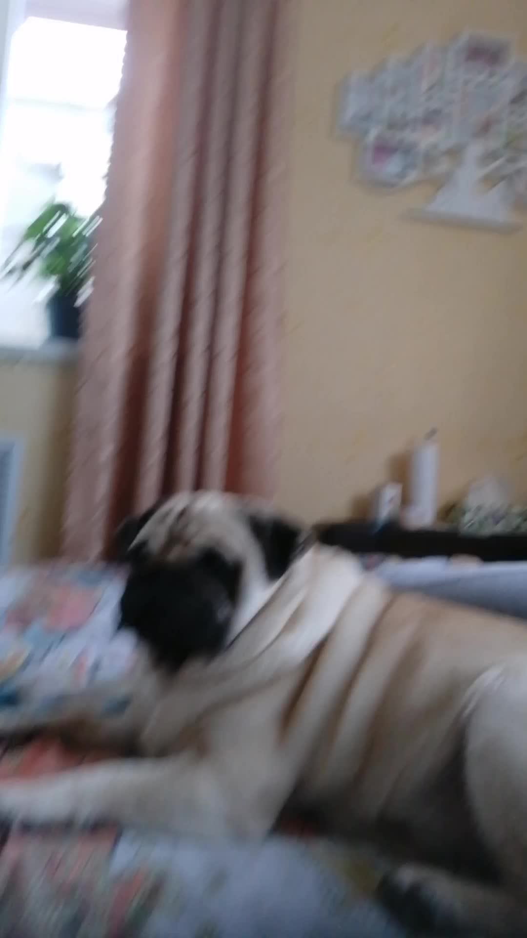 Открыл канал в Telegram