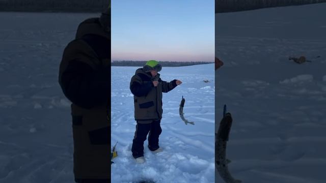 Подледная рыбалка в Якутии🎣