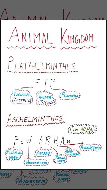 PLATYHELMINTHES AND ASCHELMINTHES NCERT EXAMPLES TRICKS #biology #neet #youtubeshorts