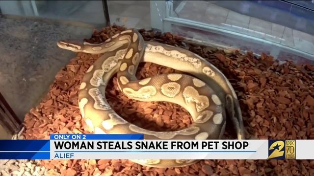 Woman steals snake from pet shop