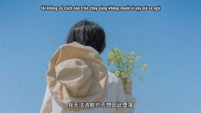 [Vietsub + Lyrics] Sai cũng sai rồi - Triệu Nãi Cát || 错都错了 -  赵乃吉