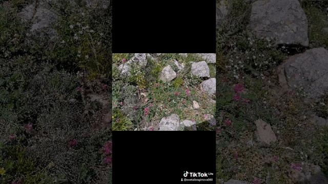 7e7eef66-1eee-4498-b851-e5151aa4bfe3-watermark.mp4