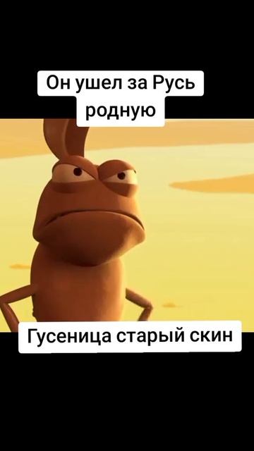 ушёл за родину родную