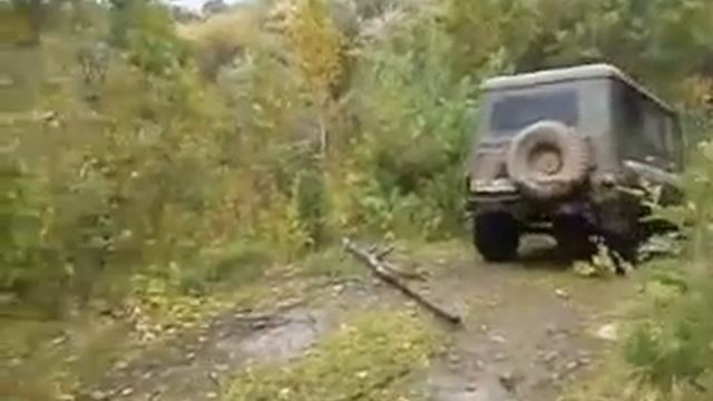 Нырнул в бобровый пруд!