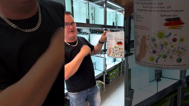 Info Video zum Neuen Diskus Import