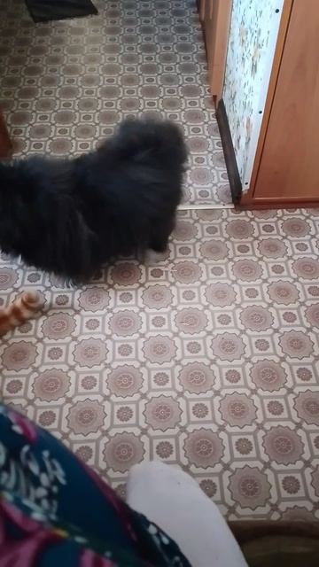VID_20250218_094047