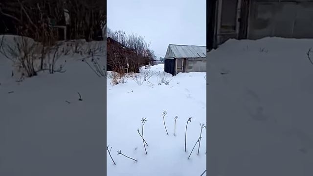СОТ Милиоратор-2, 13 соток земли.