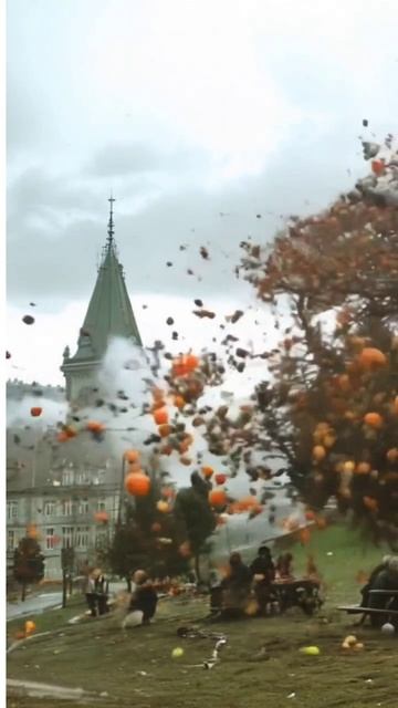Зрелищное видео