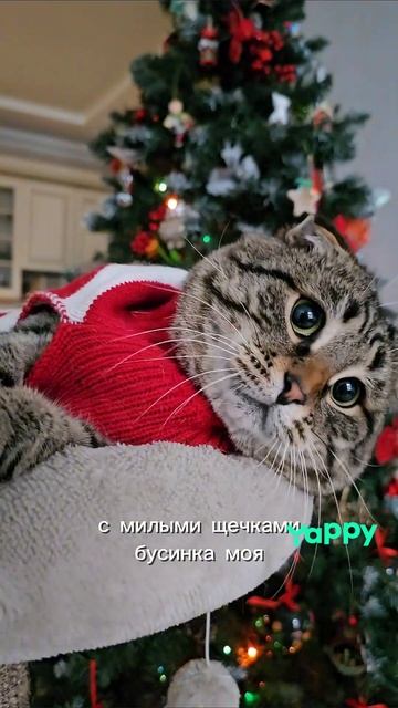 Всем привет! милашки☺