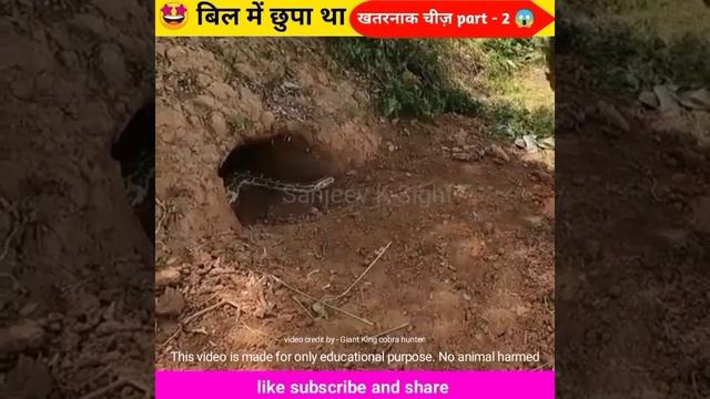 बिल में घुसा था खतरनाक चीज़  part 2| wood working art skill #shorts #ytshorts #ashortaday
