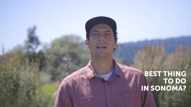 Talking Pinot Noir with Sam Ecenia /// Littorai (Sonoma Coast, USA)