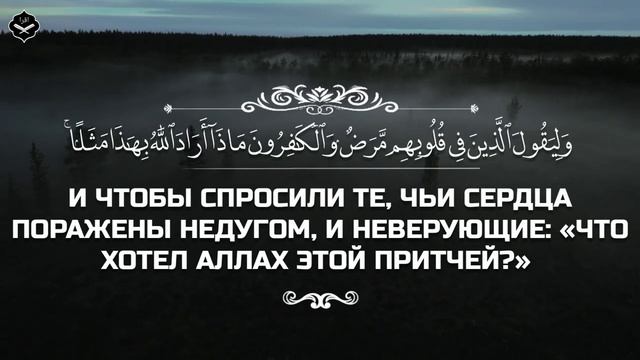 Сура Аль-Муддассир (завернувшийся)
Чтец: Абдуллах Хумейд