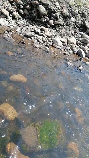 VID_20240704_142928.mp4