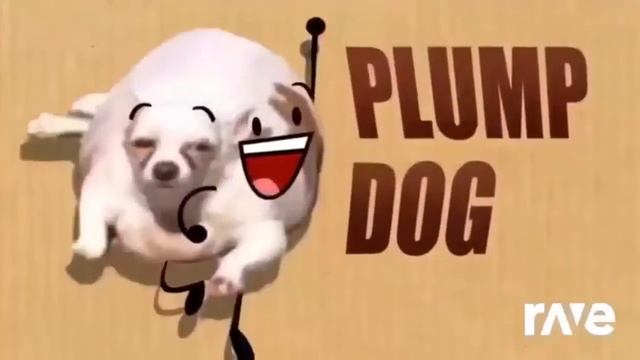 Thanks for 27 Subscribers! (ft. Jordan Santiago, Jeff Paul, Milou Kitty, & Donna Gandolfo)