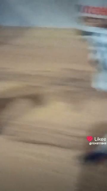 Like_7461691317829771844.mp4