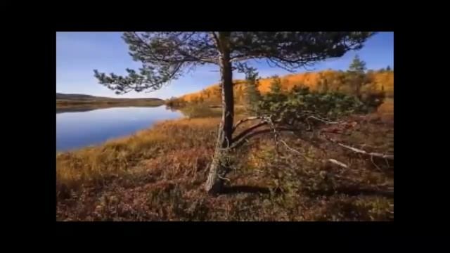 ЭТО ВСЁ МОЁ РОДНОЕ