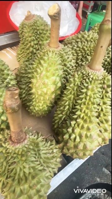 Sarina fruit , Durian & mangosteen 😋💗 #fruit #durian #youtubeshorts