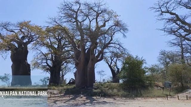 Top 10 Places to Visit in Botswana - Ultimate Travel Guide