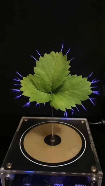 Musik Tesla Coil Musik😱#shots #teslacoil #