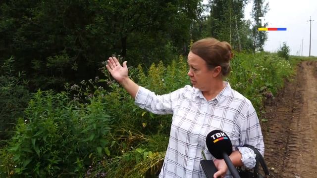 Новости Искитимского района 25 июля 2024 г.