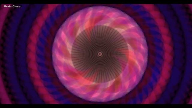 Video 15. The Journey of a worm