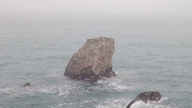 Снегопад. Бетховен. Море