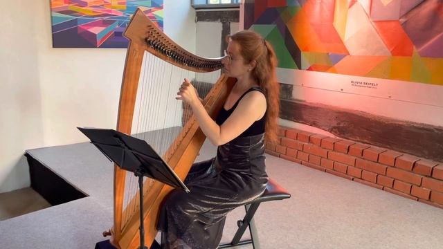 Lament (from The Harp Of Brandiswhiere by Sylvia Woods) - played on harp by Eva Curth