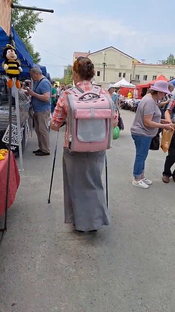 рюкзак для кошки