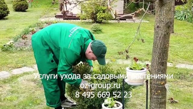 Услуги ухода за садовыми растениями на даче. Выезд на работы Агрономов по Москве и области. Звоните