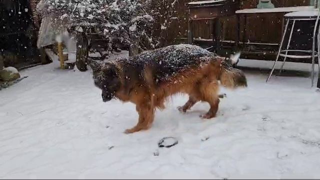 Лорд