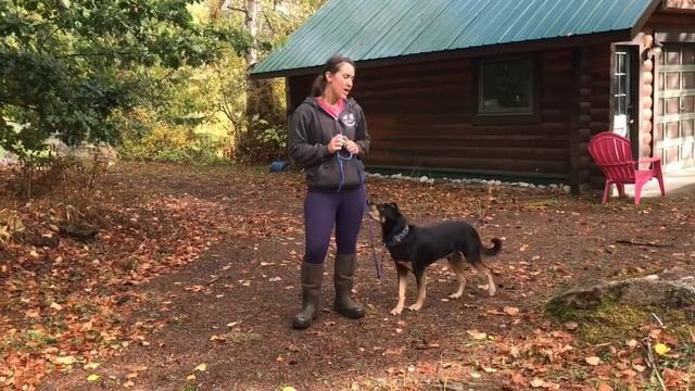 Susan Garrett’s - collar grab game