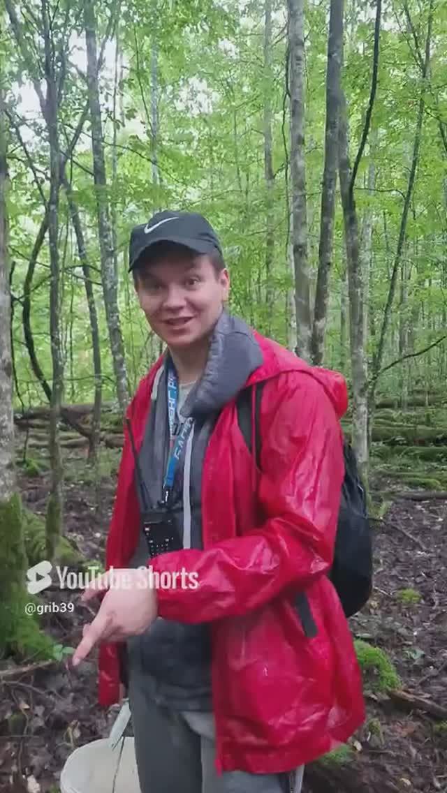это надо кушать_ ОБРЯД ПОСВЯЩЕНИЯ. съедобные грибы. ГРИБ ВЕСЕЛКА #shorts