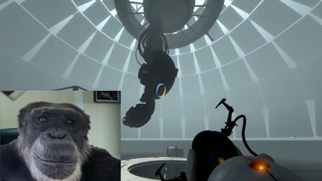 Обезьяна проходит Portal 2[не то что некоторые]
