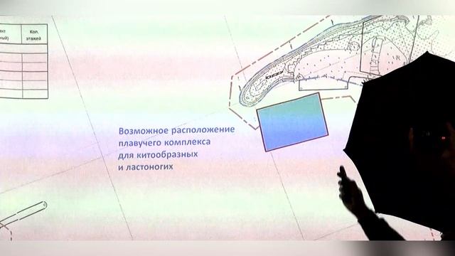 Перспективы создания центра по реабилитации морских млекопитающих при Приморском океанариуме
Телегин