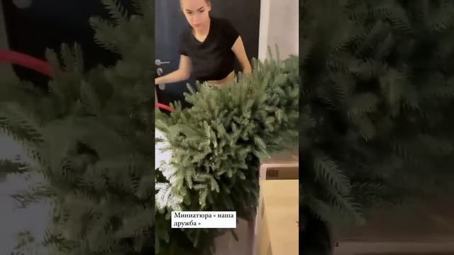 Полина Слепкань переезжает