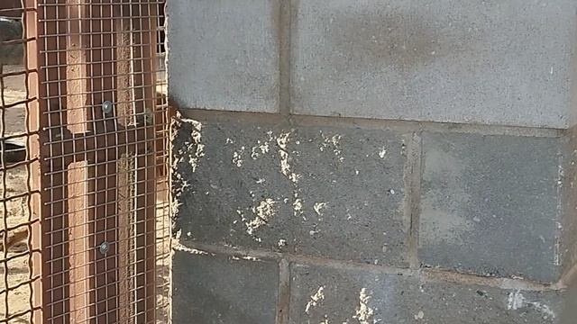 1000006264.mp4