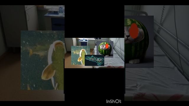 Весь 3 сезон Великой войны.