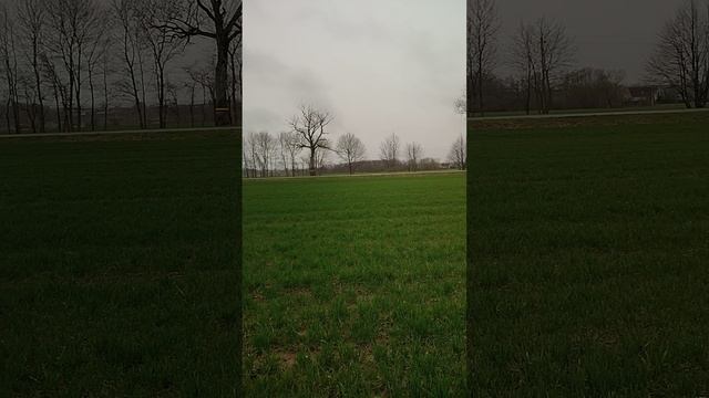 VID_20240323_115850