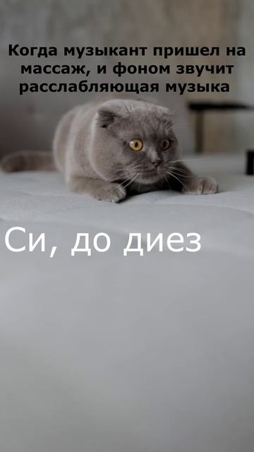 Музыкант на массаже