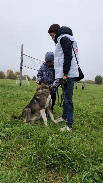 РЕКС ИЩЕТ ДОМ