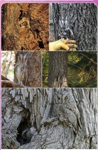 Я в тот момент