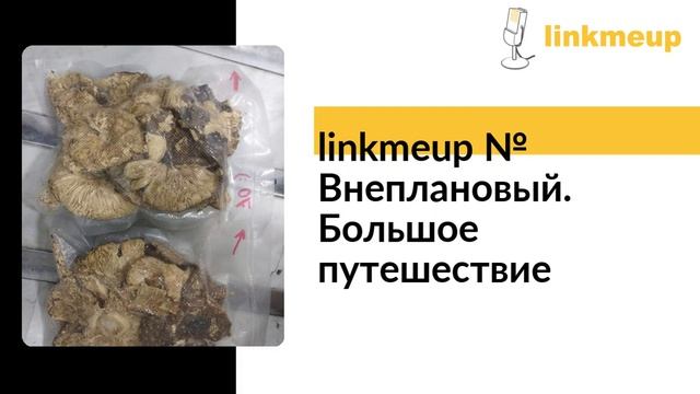 linkmeup № Внеплановый. Большое путешествие