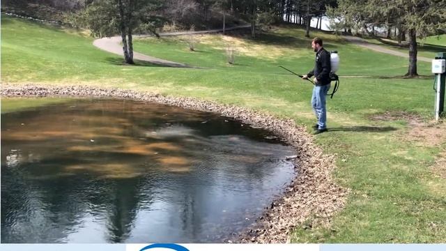 Pond maintenance made Easy with PhosArrest